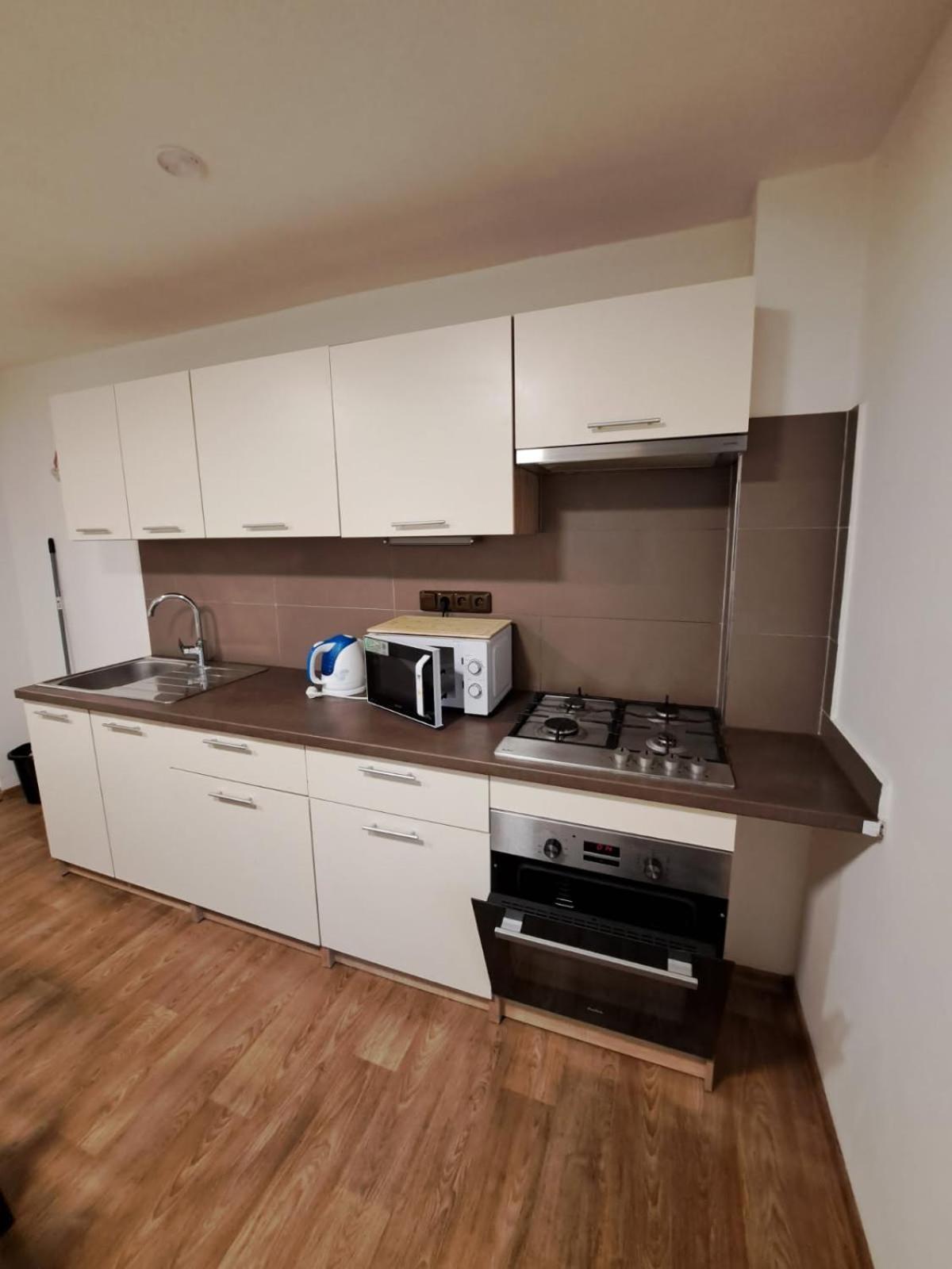 Apartmany Moravia Milovice  エクステリア 写真